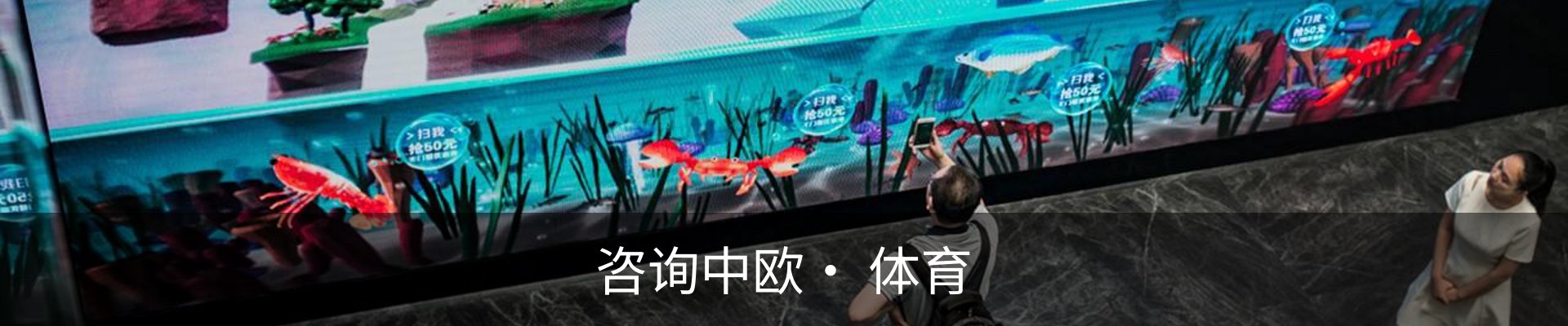 咨询中欧· 体育